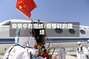 疫情中的团结/疫情时的团结