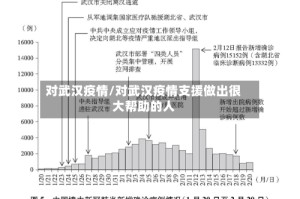 对武汉疫情/对武汉疫情支援做出很大帮助的人