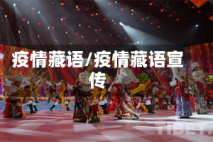 疫情藏语/疫情藏语宣传