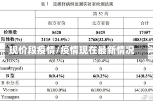 现价段疫情/疫情现在最新情况