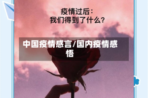 中国疫情感言/国内疫情感悟