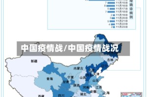 中国疫情战/中国疫情战况