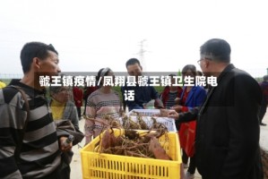 虢王镇疫情/凤翔县虢王镇卫生院电话