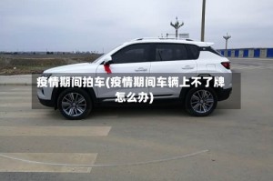 疫情期间拍车(疫情期间车辆上不了牌怎么办)