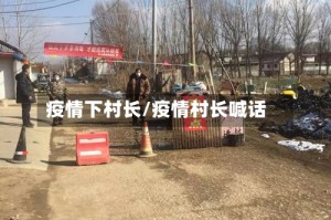 疫情下村长/疫情村长喊话