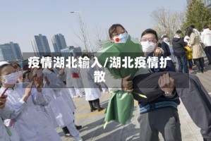 疫情湖北输入/湖北疫情扩散