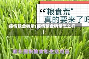 疫情粮食销量(疫情粮食销量怎么样)