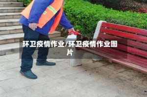 环卫疫情作业/环卫疫情作业图片
