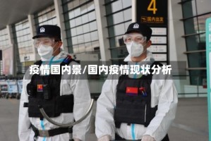 疫情国内景/国内疫情现状分析