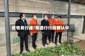 疫情易行通/易通行行程确认中