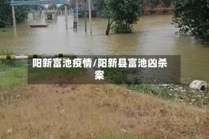 阳新富池疫情/阳新县富池凶杀案