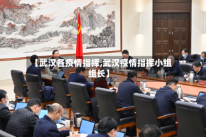 【武汉各疫情指挥,武汉疫情指挥小组组长】