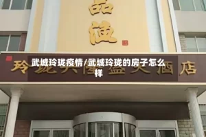 武城玲珑疫情/武城玲珑的房子怎么样