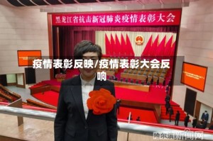 疫情表彰反映/疫情表彰大会反响