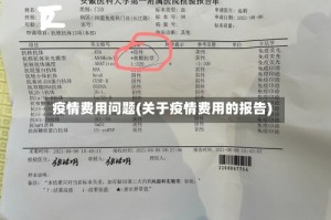 疫情费用问题(关于疫情费用的报告)