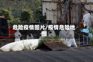危险疫情图片/疫情危险地图