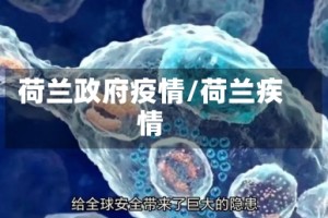 荷兰政府疫情/荷兰疾情