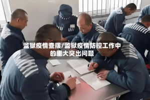 监狱疫情查摆/监狱疫情防控工作中的重大突出问题