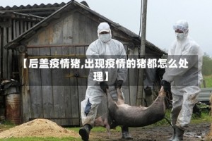 【后盖疫情猪,出现疫情的猪都怎么处理】