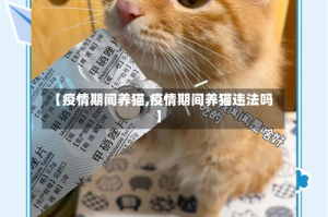 【疫情期间养猫,疫情期间养猫违法吗】