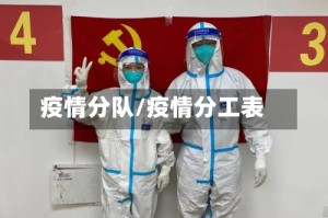 疫情分队/疫情分工表