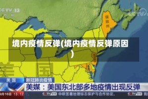 境内疫情反弹(境内疫情反弹原因)