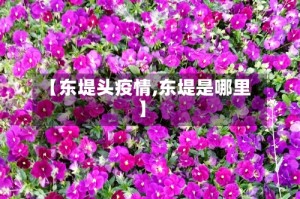 【东堤头疫情,东堤是哪里】