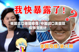 我国出口美国疫情/中国出口美国防疫物资统计