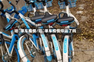 哈啰单车疫情/哈啰单车疫情停运了吗