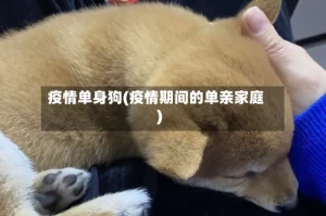 疫情单身狗(疫情期间的单亲家庭)