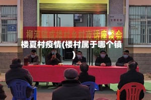 楼夏村疫情(楼村属于哪个镇)