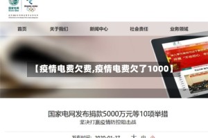 【疫情电费欠费,疫情电费欠了1000】