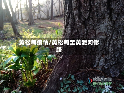 黄松甸疫情/黄松甸至黄泥河修路-第1张图片