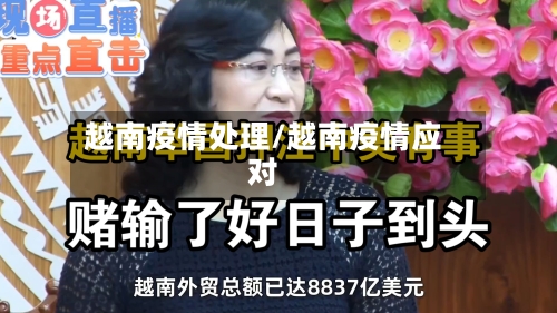 越南疫情处理/越南疫情应对-第2张图片