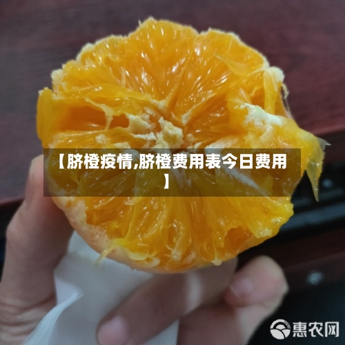 【脐橙疫情,脐橙费用表今日费用】-第1张图片