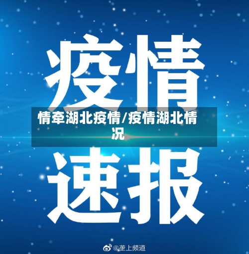 情牵湖北疫情/疫情湖北情况-第3张图片