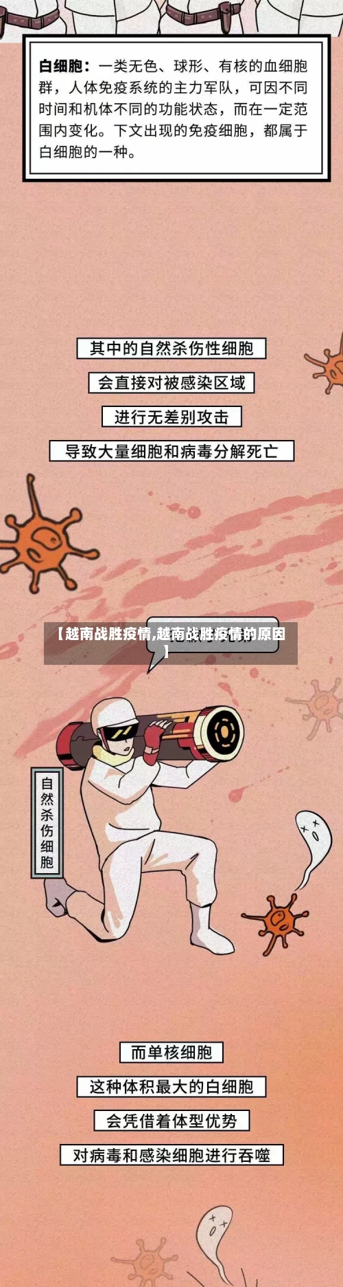 【越南战胜疫情,越南战胜疫情的原因】-第1张图片