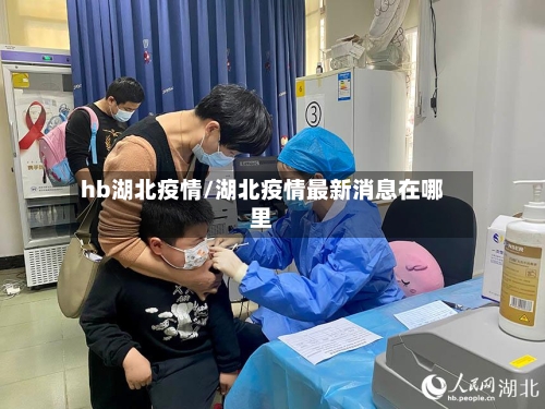 hb湖北疫情/湖北疫情最新消息在哪里-第2张图片