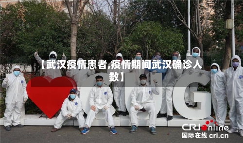 【武汉疫情患者,疫情期间武汉确诊人数】-第3张图片