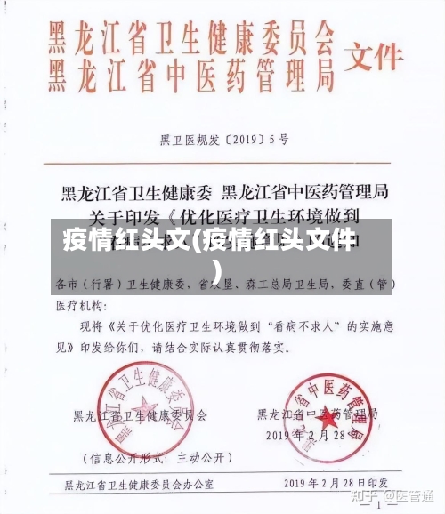疫情红头文(疫情红头文件)-第1张图片