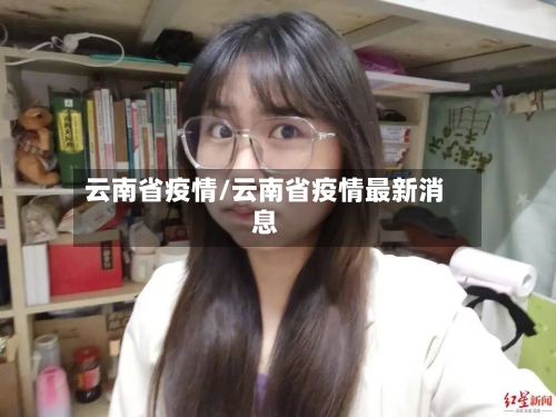 云南省疫情/云南省疫情最新消息-第2张图片