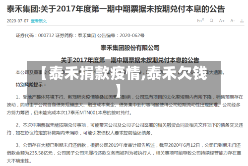 【泰禾捐款疫情,泰禾欠钱】-第2张图片