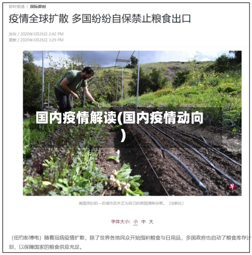 国内疫情解读(国内疫情动向)-第1张图片