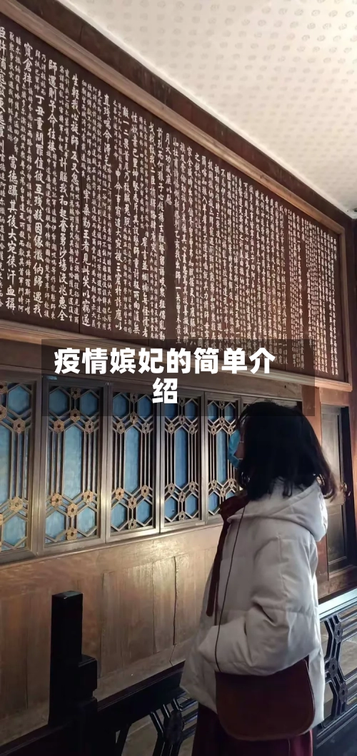 疫情嫔妃的简单介绍-第1张图片