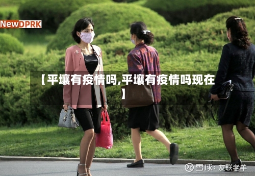 【平壤有疫情吗,平壤有疫情吗现在】-第1张图片