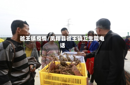 虢王镇疫情/凤翔县虢王镇卫生院电话-第1张图片