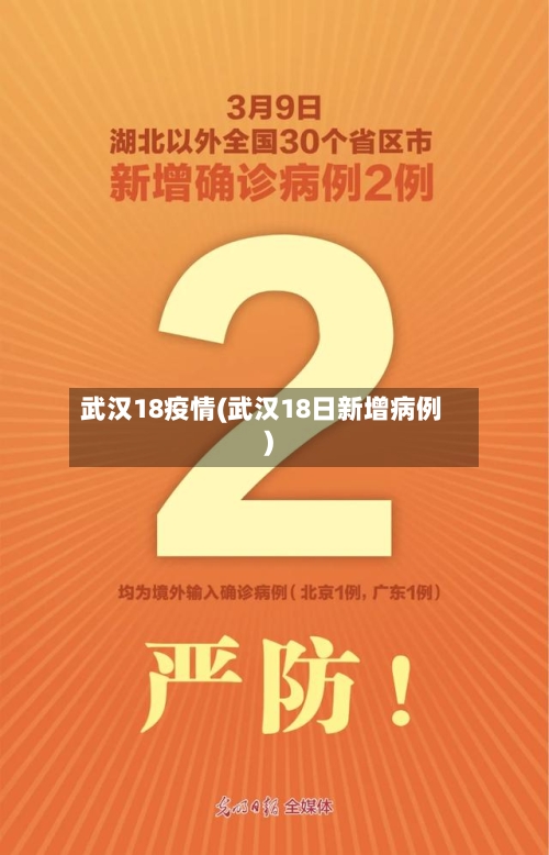 武汉18疫情(武汉18日新增病例)-第1张图片