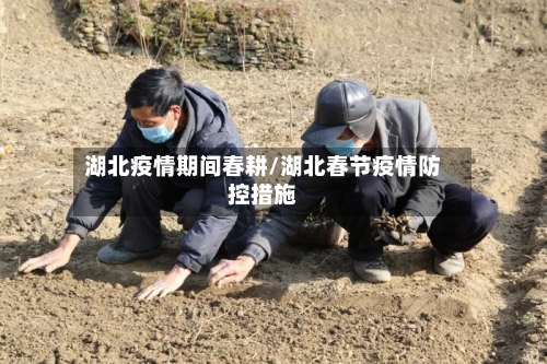 湖北疫情期间春耕/湖北春节疫情防控措施-第1张图片
