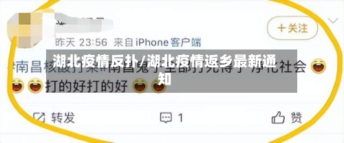 湖北疫情反扑/湖北疫情返乡最新通知-第1张图片