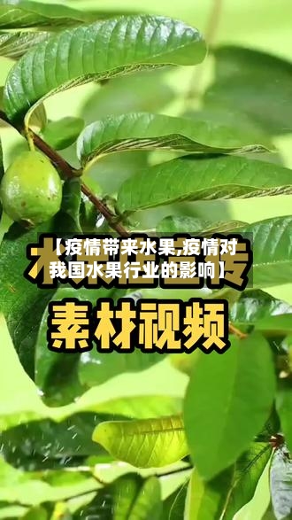 【疫情带来水果,疫情对我国水果行业的影响】-第1张图片